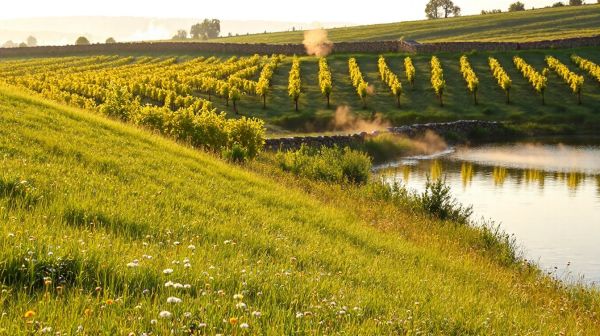 Les avantages du terrassement et vrd en Loire en 2023